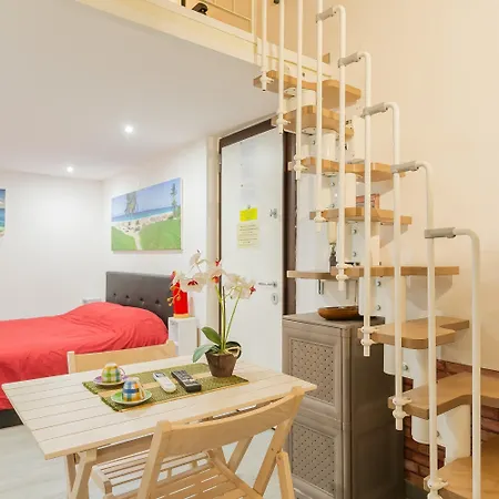 Little Havana By Wonderful Italy